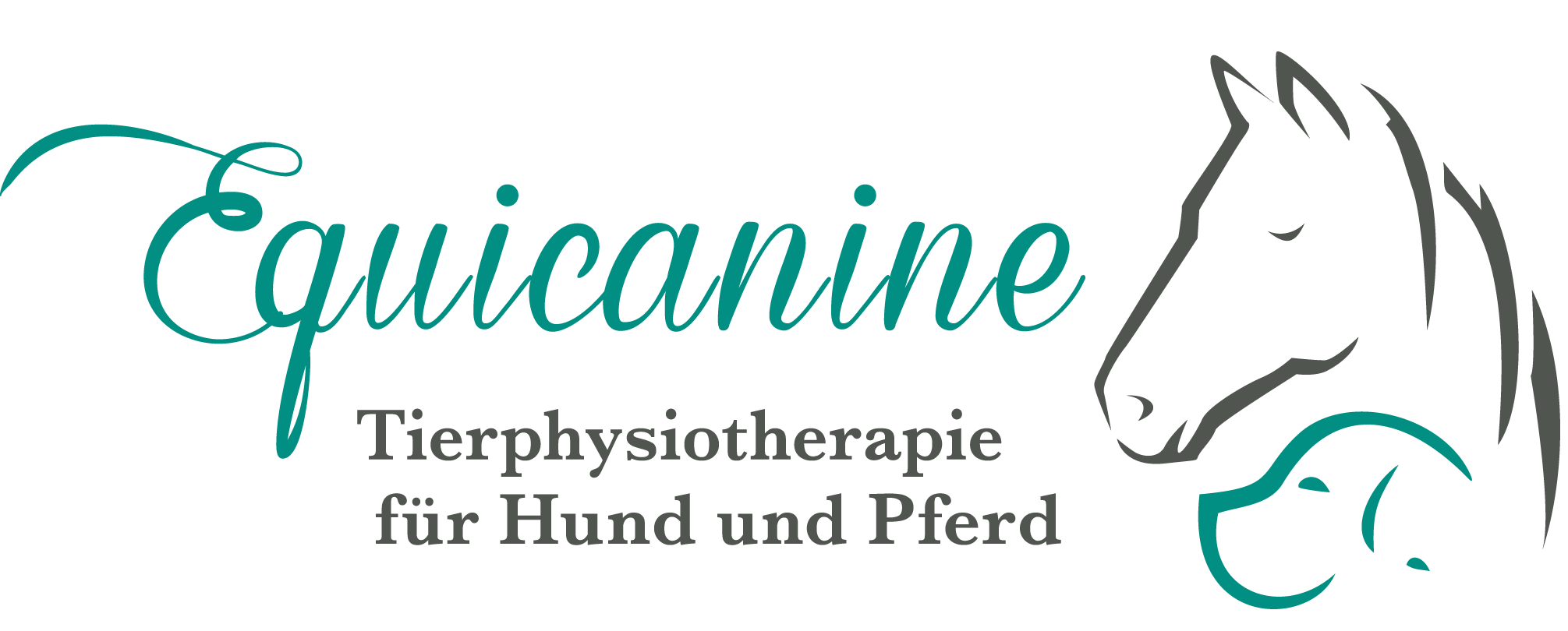 Tierphysiotherapie Equicanine Viernheim